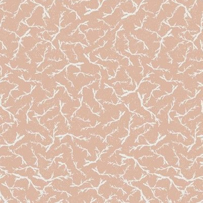 Scattered // Salmon Pink