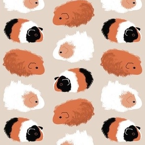 Guinea Pigs - on Taupe 