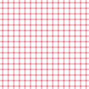 Bubble Gum and Coral Gingham // SMALL