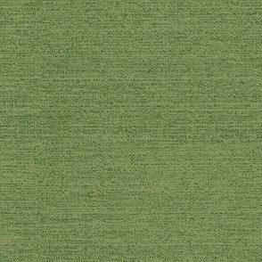 Grassy Green Textured Solid