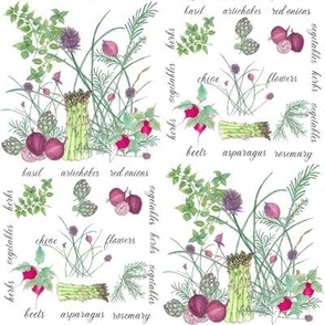 Hand Drawn Botanical Garden Herbs and Vegetables
