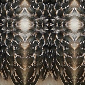 JG ROADRUNNER FEATHER ABSTRACT 1
