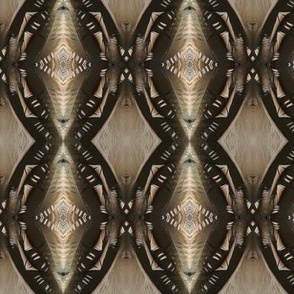JG ROADRUNNER FEATHER ABSTRACT 3
