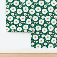 Daisy on dark green