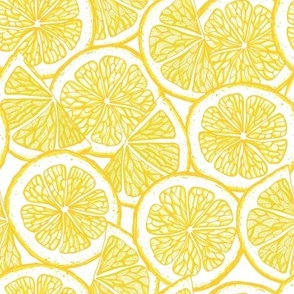 Medium scale | Lemon slices