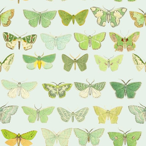 Mint Moth Fabric