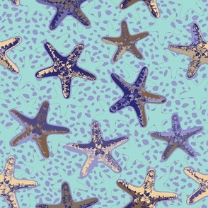 Starfish in the Sand Purple, small