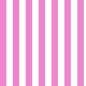 Vertical Awning Stripe Pattern - Fuchsia Blush and White