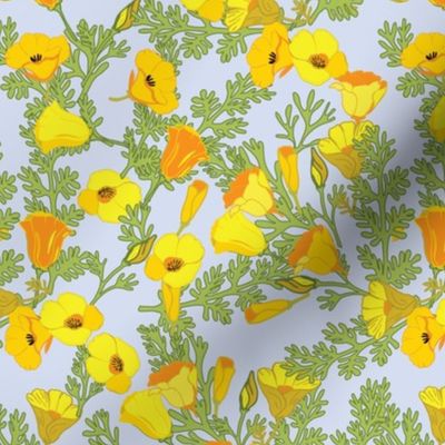 California poppies small scale colorful floral