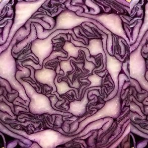 purple cabbage delight