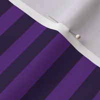 Horizontal Awning Stripe Pattern - Grape and Deep Violet