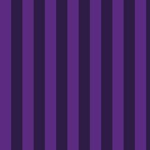 Vertical Awning Stripe Pattern - Grape and Deep Violet