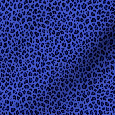 ★ LEOPARD PRINT in ELECTRIC BLUE ★ Extra Tiny Scale (Doll House Size) / Collection : Leopard spots – Punk Rock Animal Print