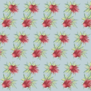 Summer Echinacea (small)