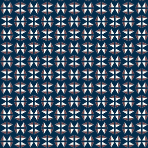 flag_on_navy