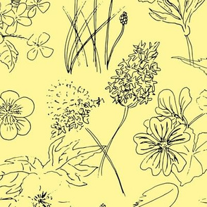 Medium Doodles of flowers on vanilla