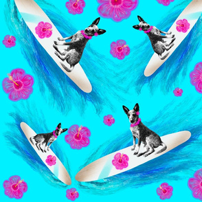 Surfing Hawaii Pup