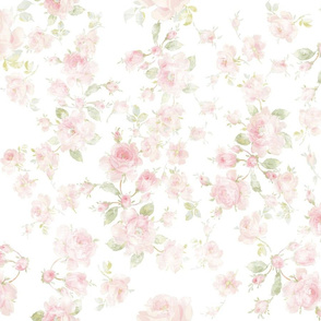 Saint Colette June Roses peony faded