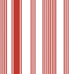 coastal casual red white stripe ticking americana farmhouse cottage core beach coastal terriconraddesigns