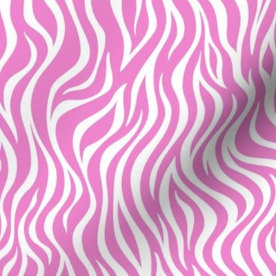 Zebra Pattern - Fuchsia Blush and White