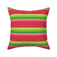 Watermelon inspired abstract graphic line art