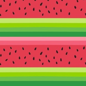 Watermelon inspired abstract graphic line art