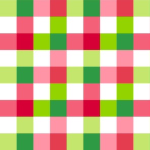 Watermelon inspired plaid check pattern