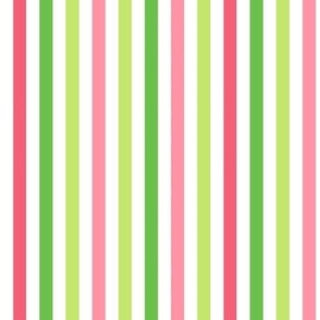 Watermelon inspired stripe pattern