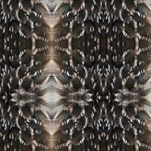 JG ROADRUNNER FEATHER ABSTRACT 6