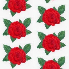 Red rose on white hand-painted watercolor floral