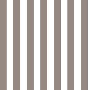Vertical Awning Stripe Pattern - Warm Grey and White