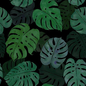 Large Moody Monstera Madness 