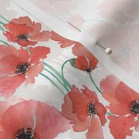 Red Watercolour Poppies on White Background