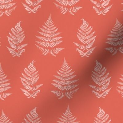 FELLOW FERNS CORAL PINK LARGE