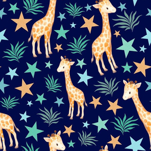 Large Scale Giraffes and Stars on Navy