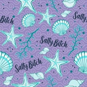 Medium Scale Salty Bitch Sarcastic Sweary Adult Humor Turquoise Aqua Blue on Lavender Purple