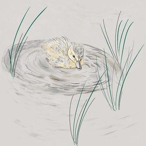 Duckling Swims in Puddle, mauve-grey