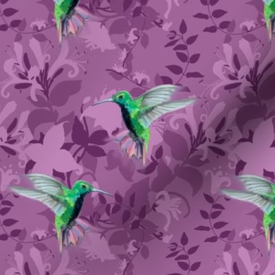 Hummingbirds and Honeysuckle , Violet