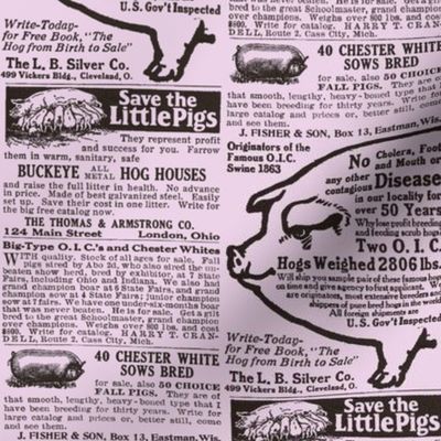 Save the Little Pigs 1915 ad