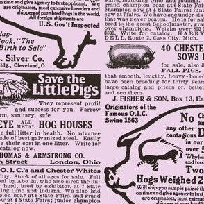 Save the Little Pigs 1915 ad