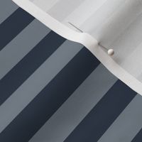Horizontal Awning Stripe Pattern - Medium Charcoal and Faded Denim