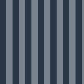 Vertical Awning Stripe Pattern - Medium Charcoal and Faded Denim