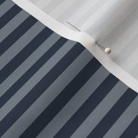 Horizontal Bengal Stripe Pattern - Medium Charcoal and Faded Denim