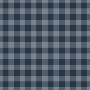 Gingham Pattern - Medium Charcoal and Faded Denim