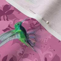 Hummingbirds and Honeysuckle, Rose