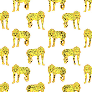 Wild Cheetahs! - white, medium 