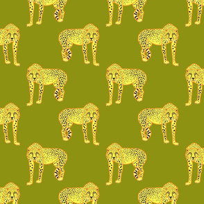 Wild Cheetahs! - olive green, medium 