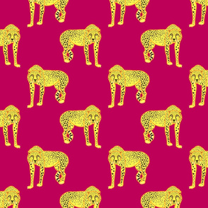 Wild Cheetahs! - fuchsia pink, medium 