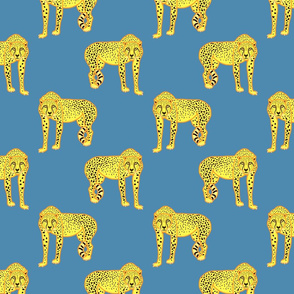 Wild Cheetahs! - steel blue, medium 