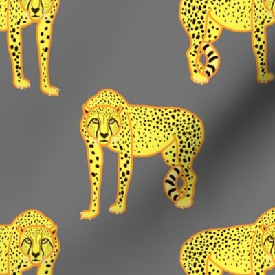 Wild Cheetahs! - ultimate gray, medium 